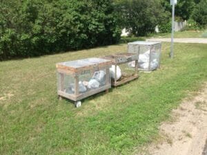 Garbage In Cage Northern 2Bmichigan