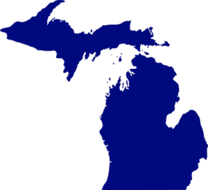 Michigan4You Logo