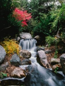 Dow Gardens