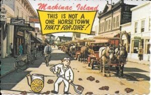 Mackinaw Island Horse