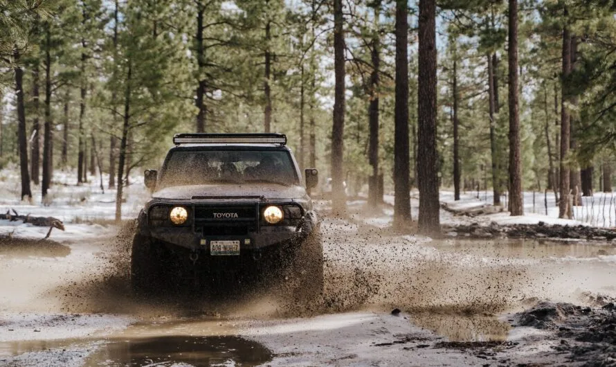 Safe And Sound When Driving In Michigan