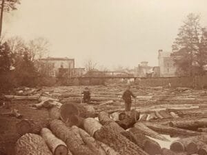 Lumbering Era In Caseville