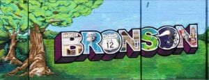 Bronson Michigan