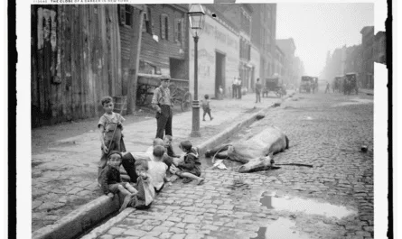 The Manure Crisis Of 1898