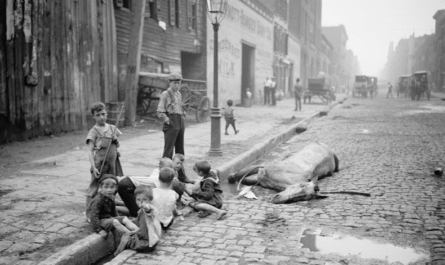 The Manure Crisis Of 1898