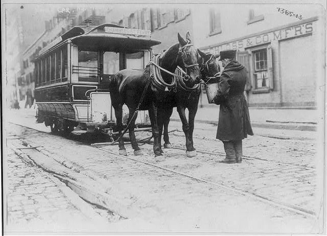 Horse Car