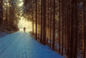 Michigan'S Best Outdoor Activities