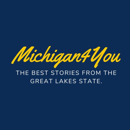 Michigan4You Logo
