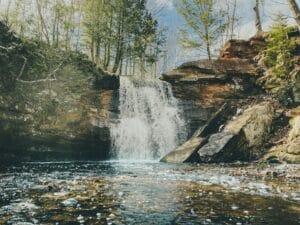 About Michigan4You