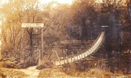 Croswell Swinging Bridge