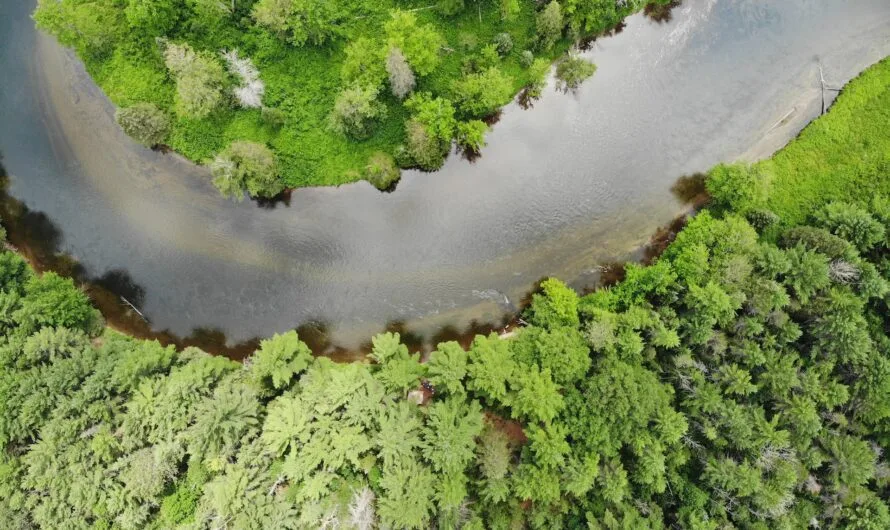 Au Gres And Omer, Michigan – Local Food & 6 Ideas For Outdoor Adventure