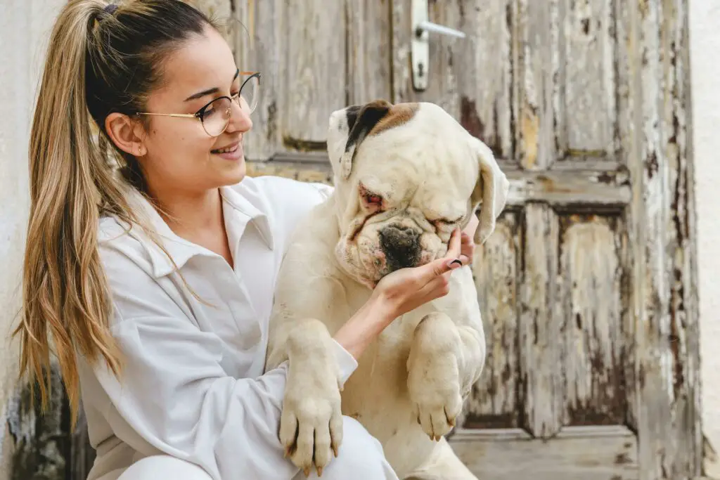 A Woman Holding A Dog At Pet Friendly Hotels In Mackinaw City