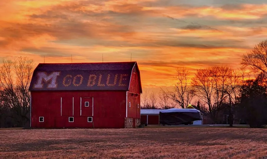 Ann Arbor Live Camera – A Window To The Heart Of Michigan