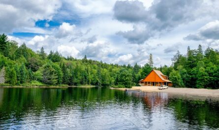 Wooden Cottage On The Lake Shore In Algonquin Provincial Park