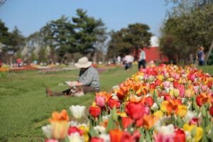 Holland Michigan