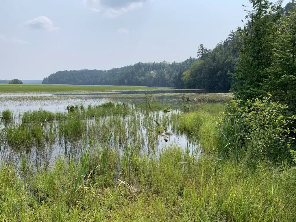 Au Sable Basin