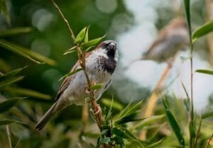 Anna Storsul 8Fwldtt4Qzi Unsplash
