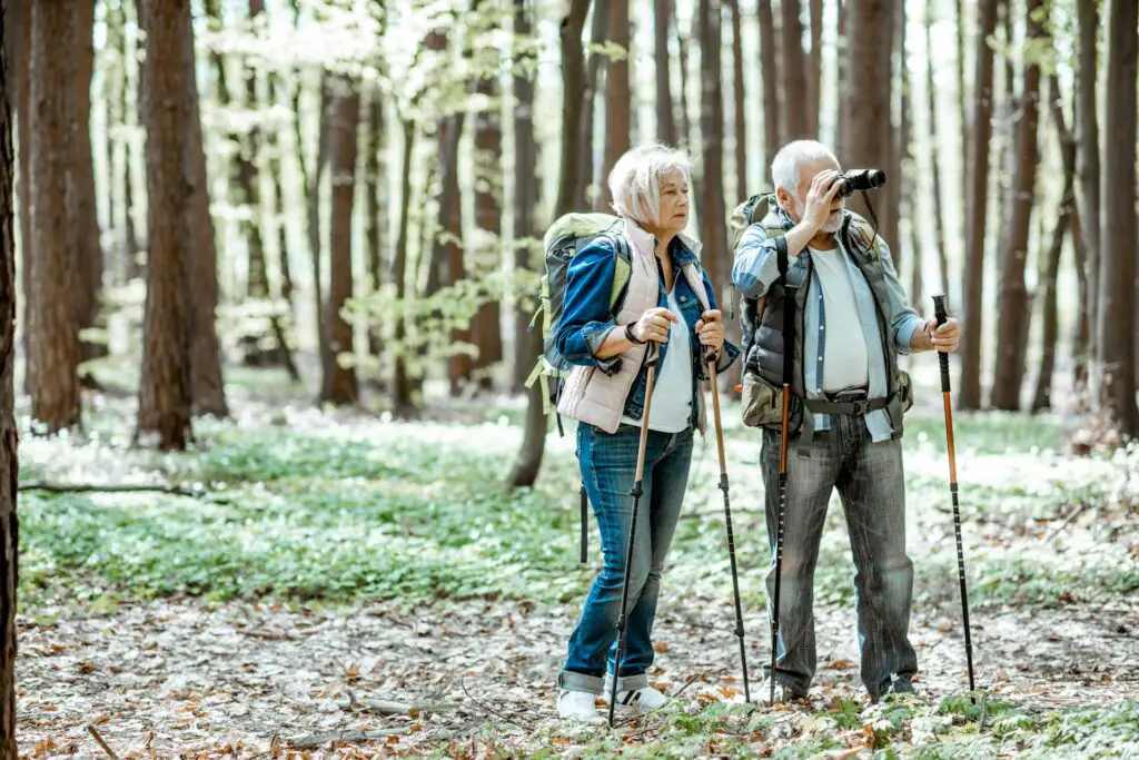 Identifying Birds In Michigan