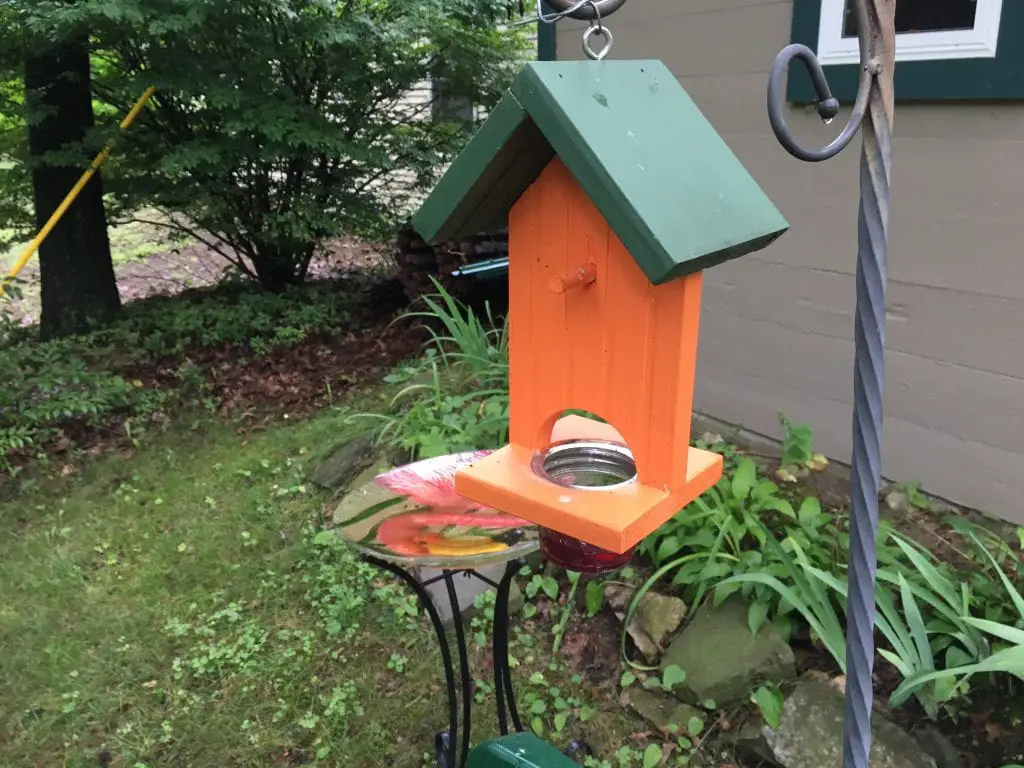  Oriole Feeder