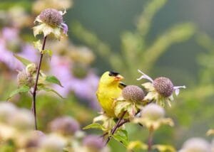 Jongsun Lee Dokh7Gbl4B4 Unsplash