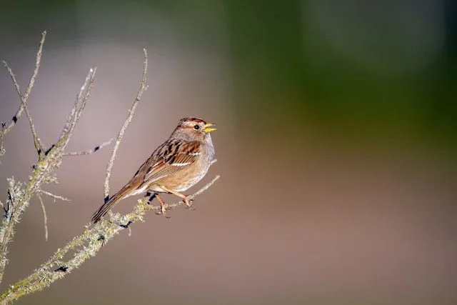 Matt Bango 3Garesxqhnw Unsplash