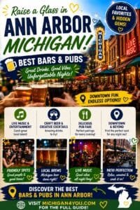 Ann Arbor Student Bars