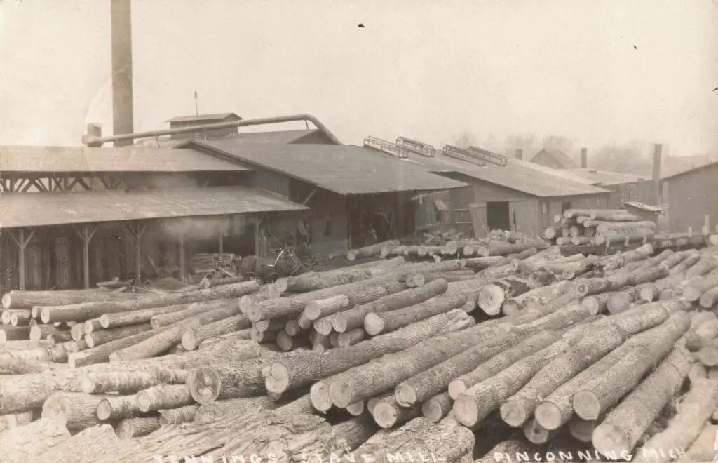 Piles Of Logs Wait To Be Processed At Jennings’ Mill, Part Of The Booming Barrel Stave Industry That Fueled Early Pinconning’s Economy.