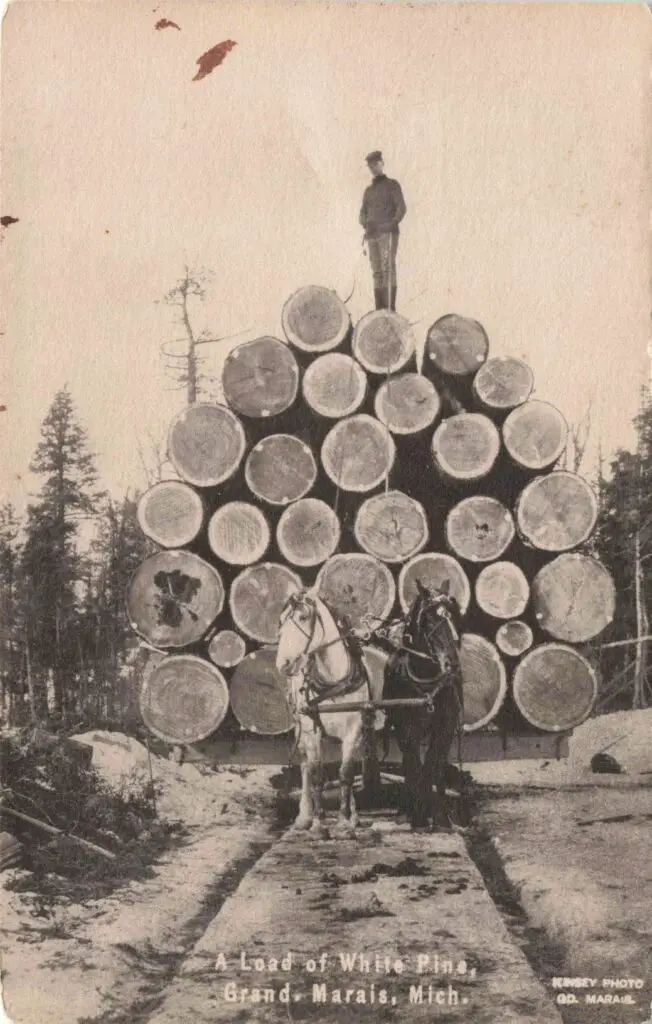 Timber Wagon