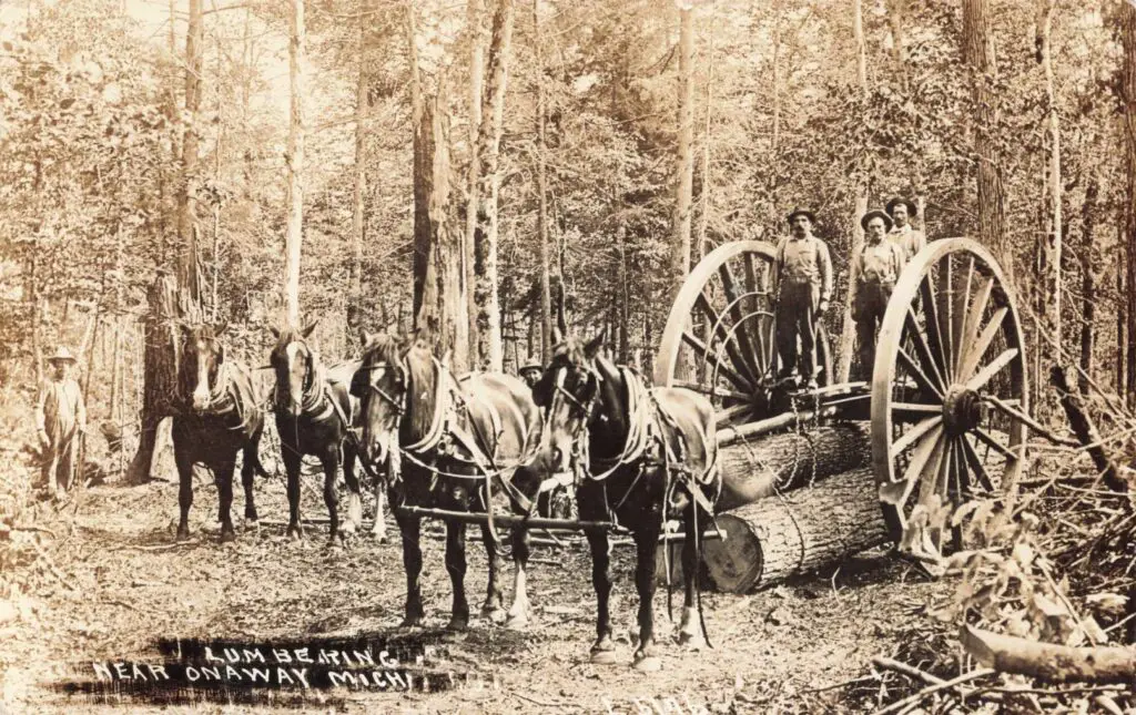 Lumbering In Onaway