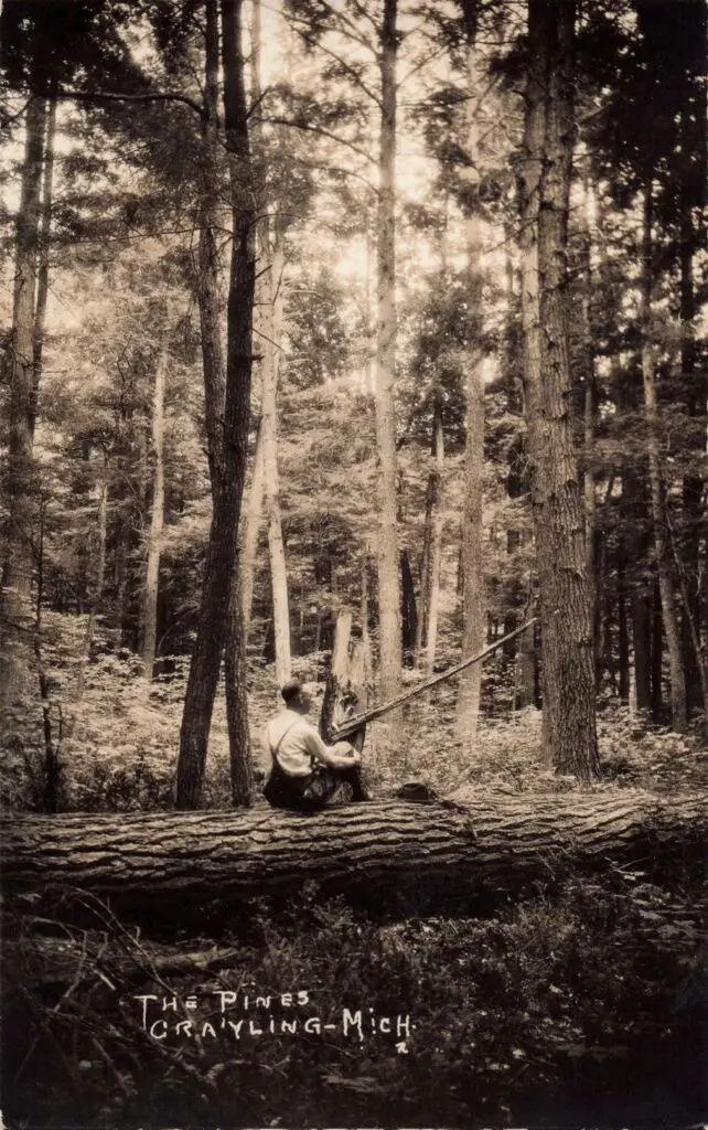A Man Sitting On A Log In The Woods