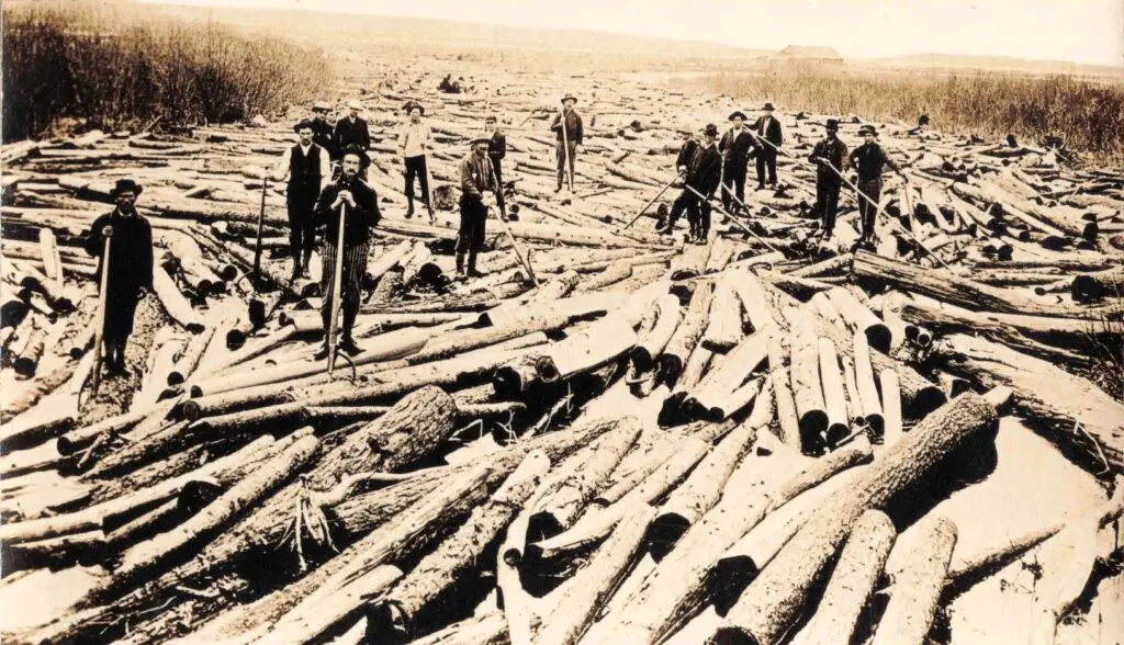 A Group Of People Standing In A Pile Of Logs