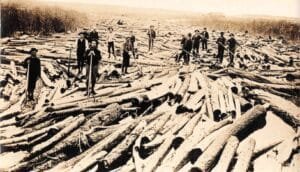 Sepia-Toned Photo Of About A Dozen Men Standing On A Wide Log Jam In A River, Holding Long Pike Poles, With Brushy Banks On Both Sides.