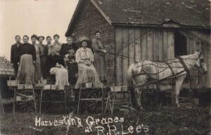 Tinder 60019 Tinder Rppc 120037 Tinder Rppc 120037 1627X1043