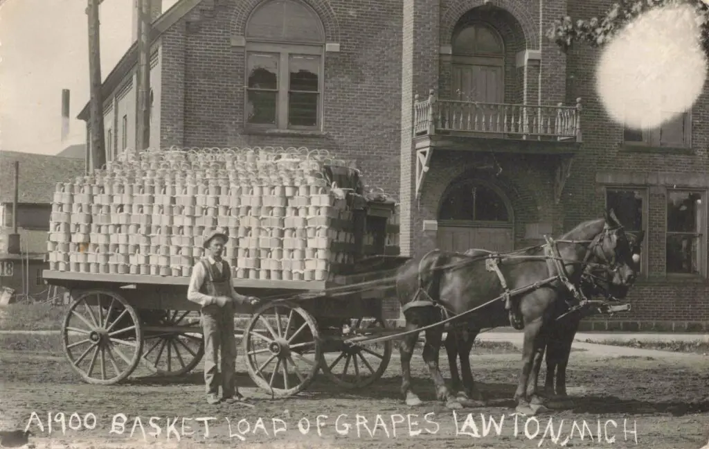 Delivering Grapes Lawton