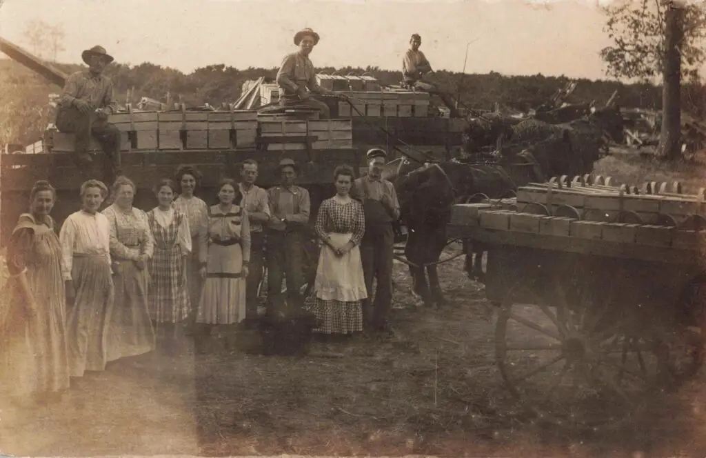 Grape Growers Lawton