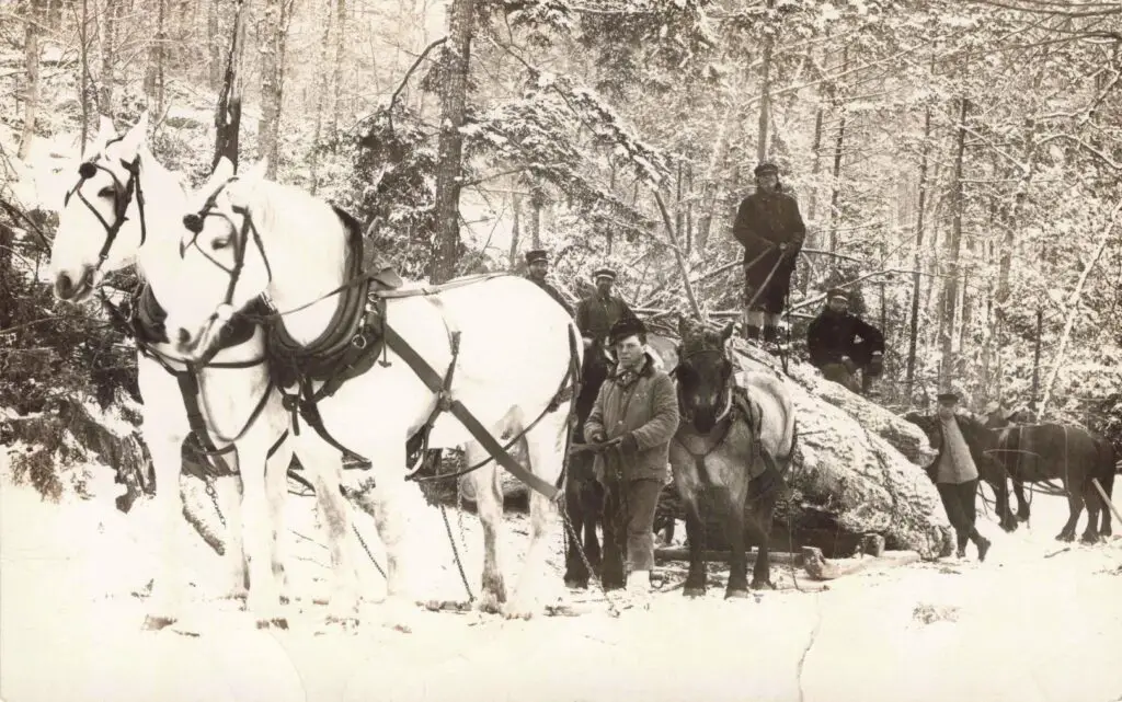 A Group Of Men Standing Next To Horses In The Snow
