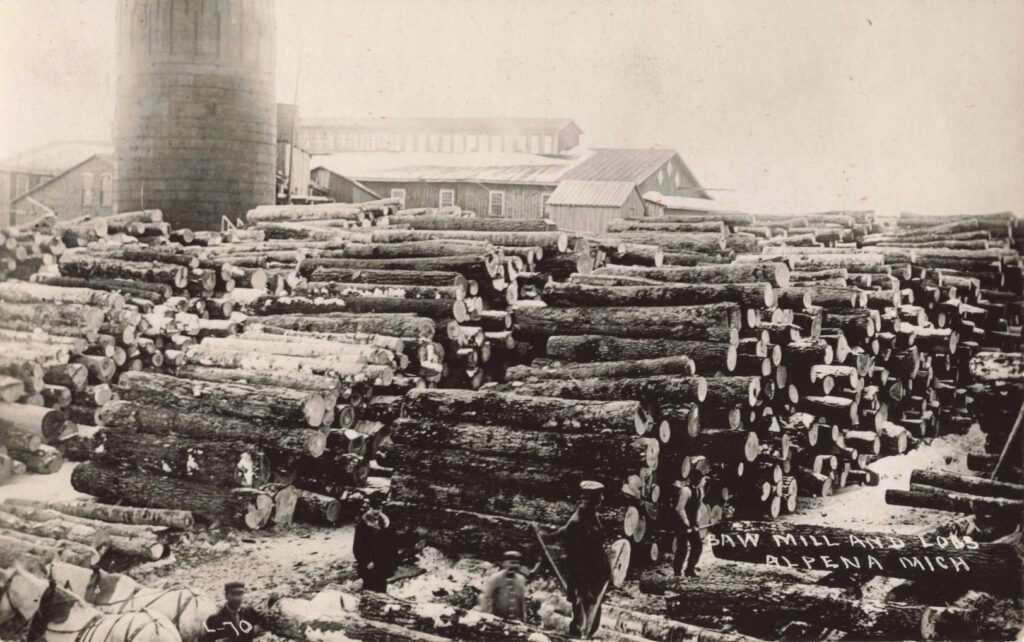 Lumber Yard With Stacked Logs.