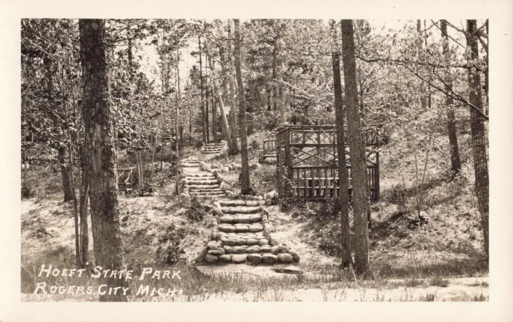A Black And White Photo Of A Trail In The Woods