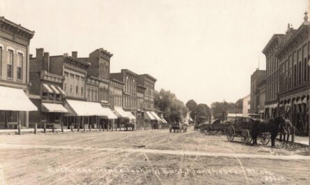 History Of Manchester Michigan