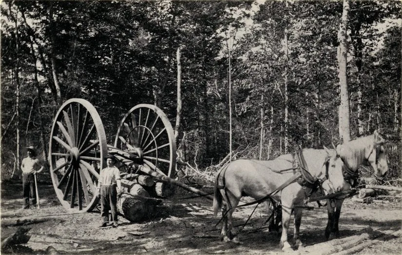 A Man Standing Next To A Horse Pulling A Large Wagon