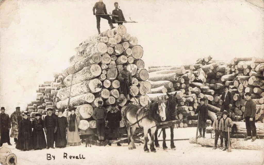 Logging Near Menominee Michigan
