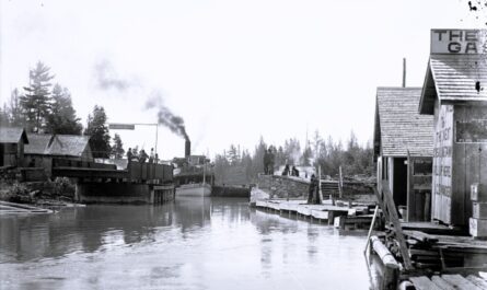 History Of Alanson Michigan