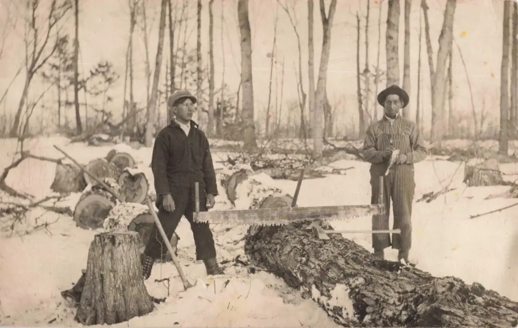 Two Men Sawing Wood In Winter.
