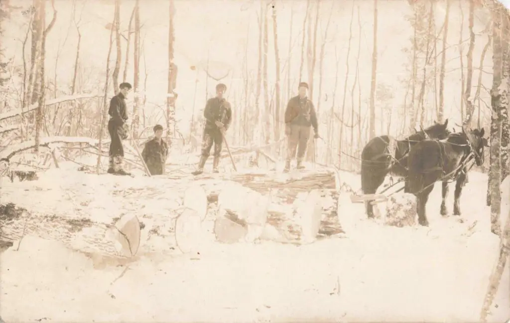 Men And Horses In Snowy Forest.