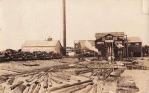 Tinder 16469 Tinder Rppc 032937 Tinder Rppc 032937 1610X1001