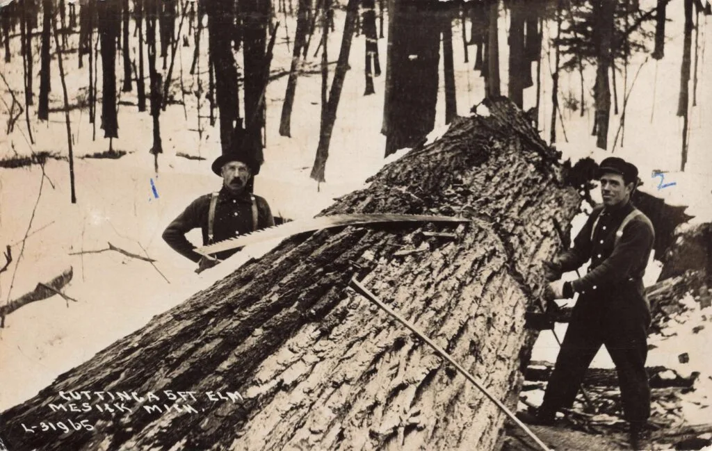 Logging In The History Of Mesick Michigan