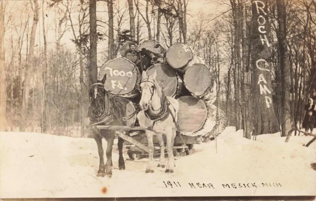 Horse-Drawn Logs In Snowy Forest.