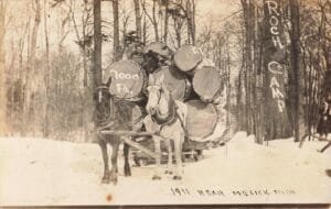 Tinder 65914 Tinder Rppc 131827 Tinder Rppc 131827 1619X1028