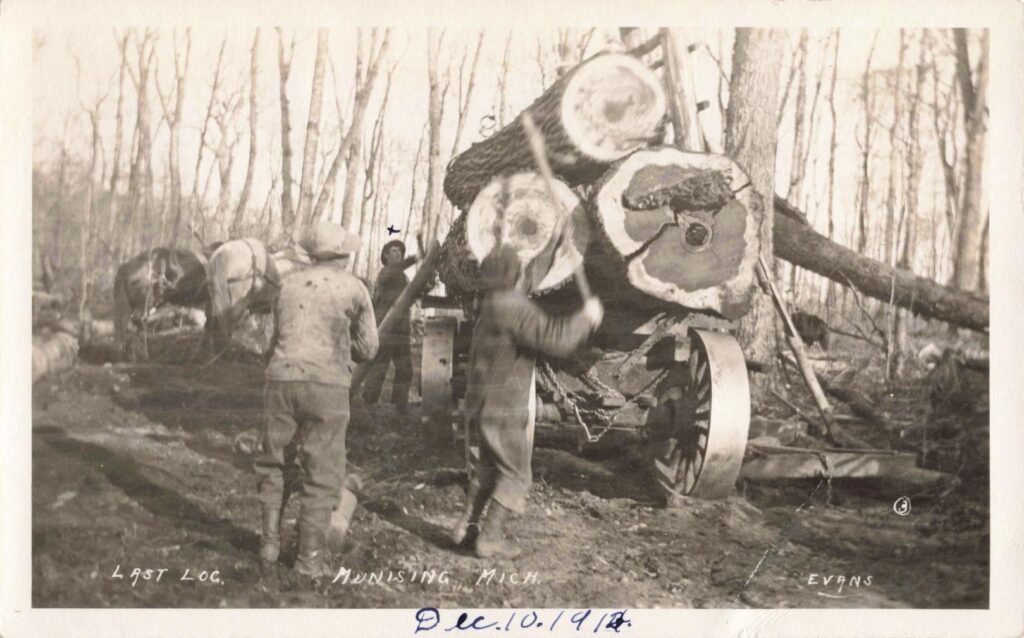 Lasty Log Munising