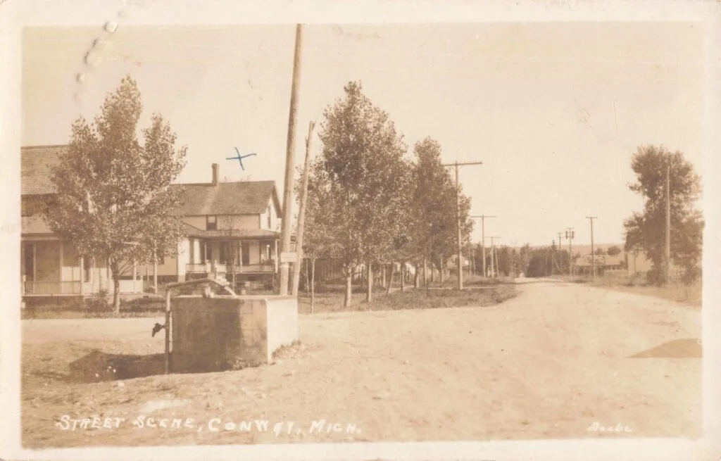 Quiet Street With Houses And Trees